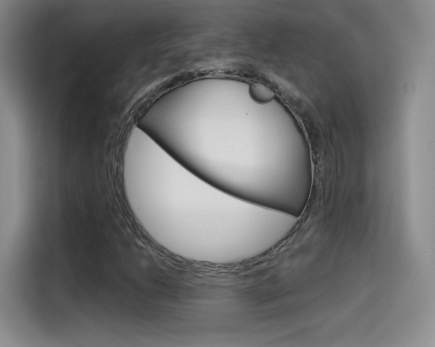 X0000114641206200910200934