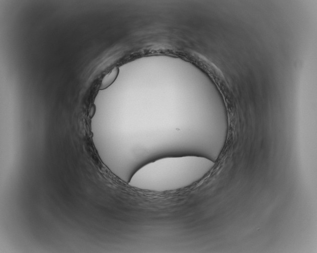 X0000114641207200910200934