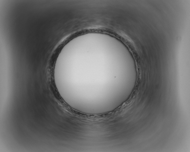 X0000114641208200910200934