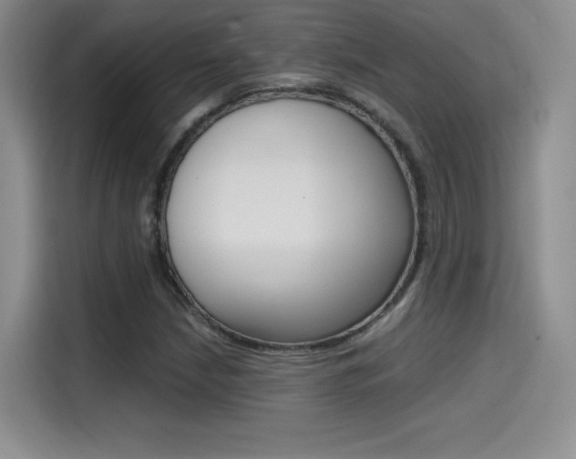 X0000114641210200910200934