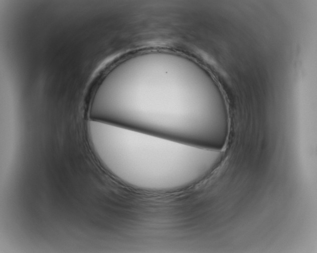 X0000114641214200910200934