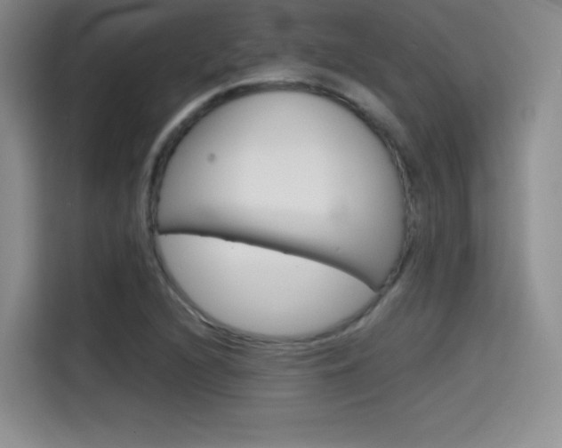 X0000114641216200910200934