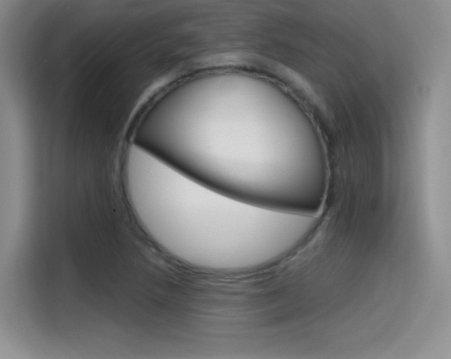 X0000114641218200910200934