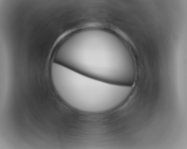 X0000114641222200910200934