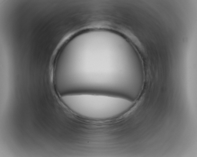 X0000114641224200910200934
