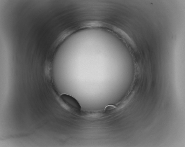 X0000114641225200910200934