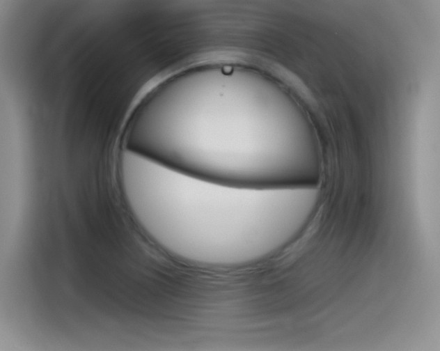 X0000114641226200910200934