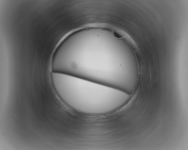 X0000114641228200910200934