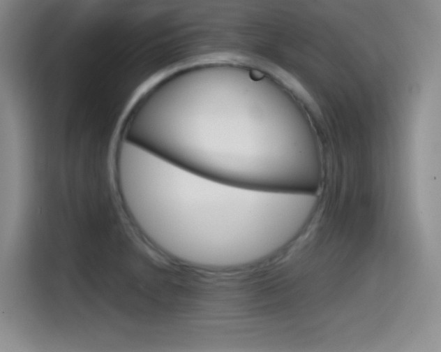 X0000114641230200910200934