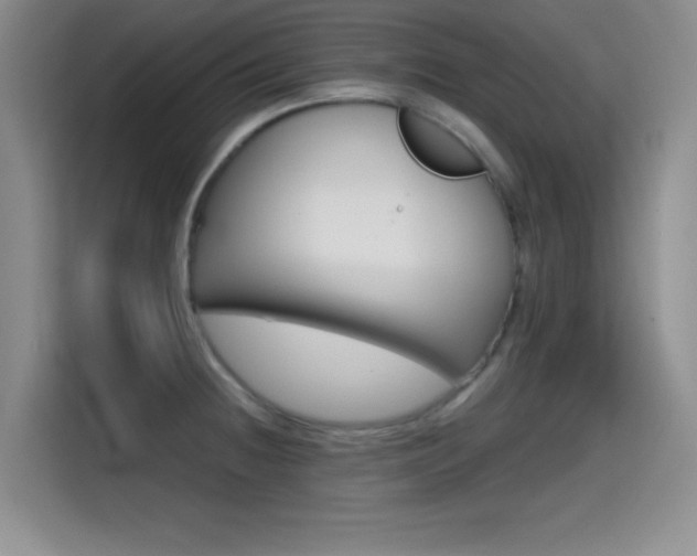 X0000114641236200910200934