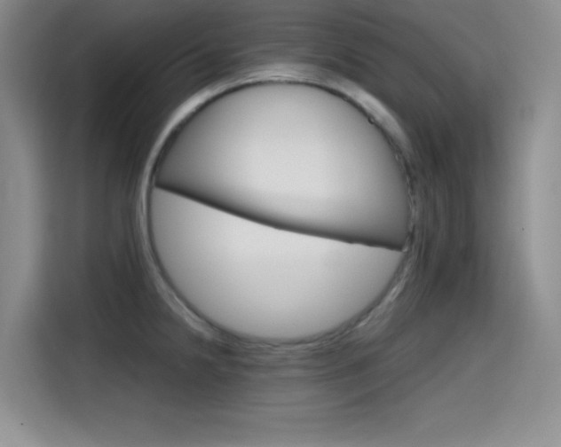 X0000114641238200910200934