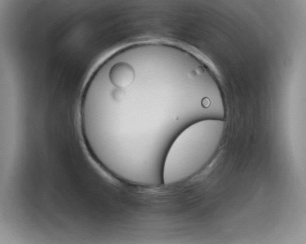 X0000114641239200910200934