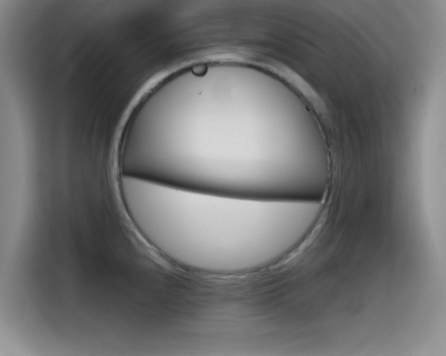 X0000114641240200910200934