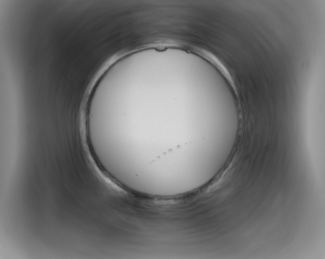 X0000114641243200910200934