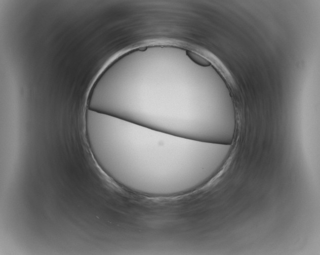 X0000114641244200910200934