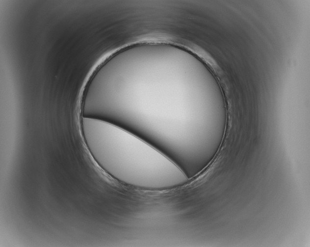 X0000114641248200910200934