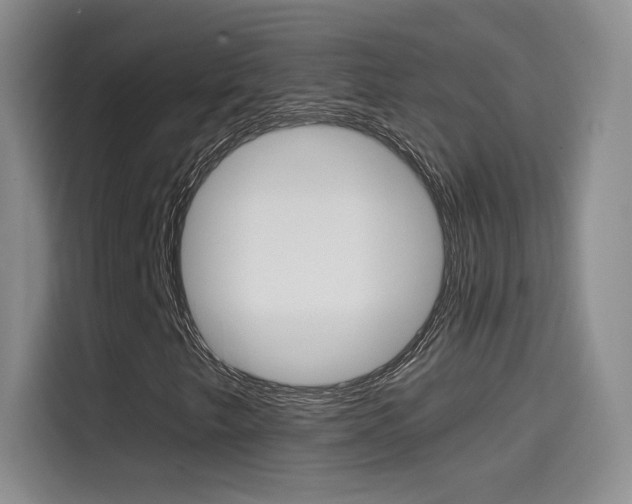 X0000114641249200910200934