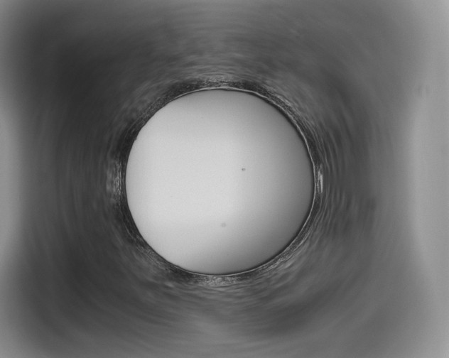X0000114641251200910200934