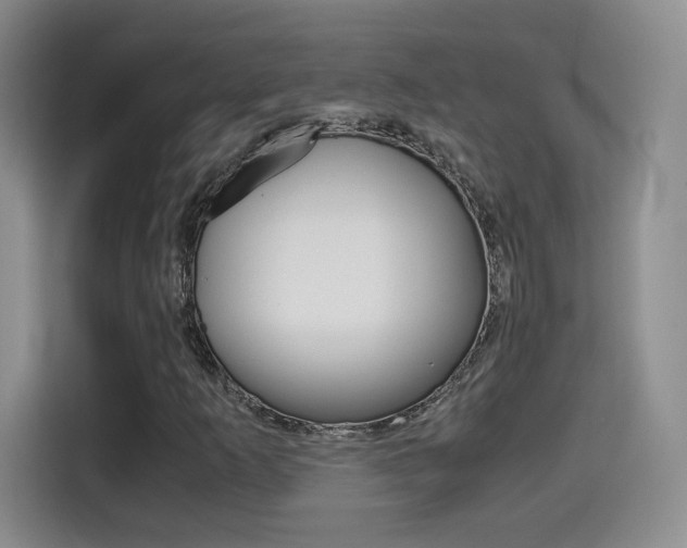 X0000114641253200910200934