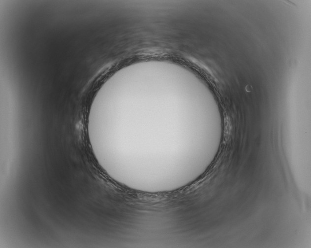 X0000114641254200910200934
