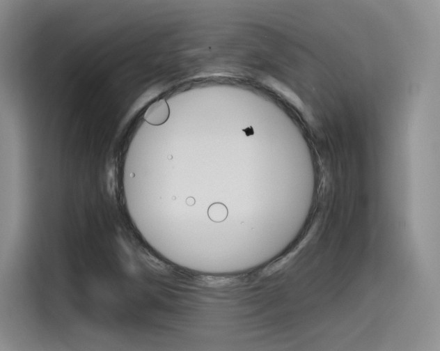 X0000114641258200910200933