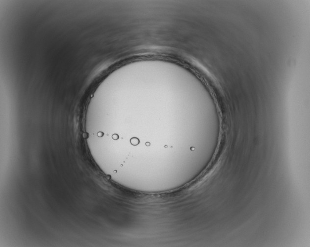 X0000114641259200910200933