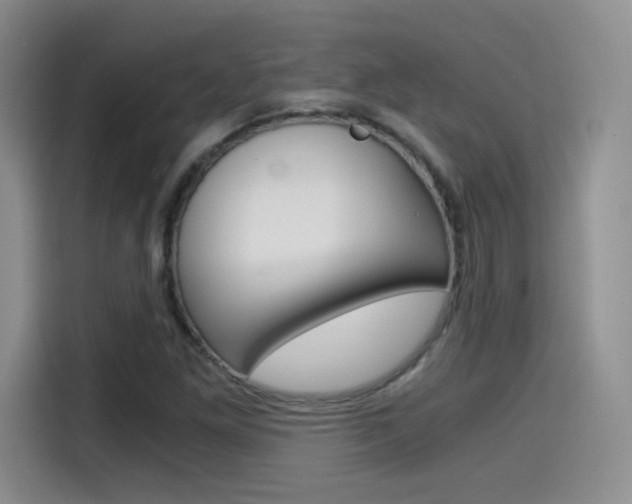 X0000114641261200910200933