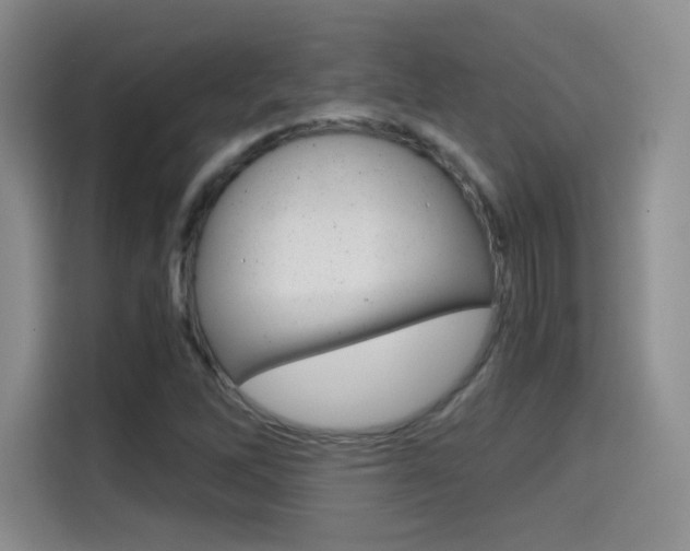 X0000114641262200910200933
