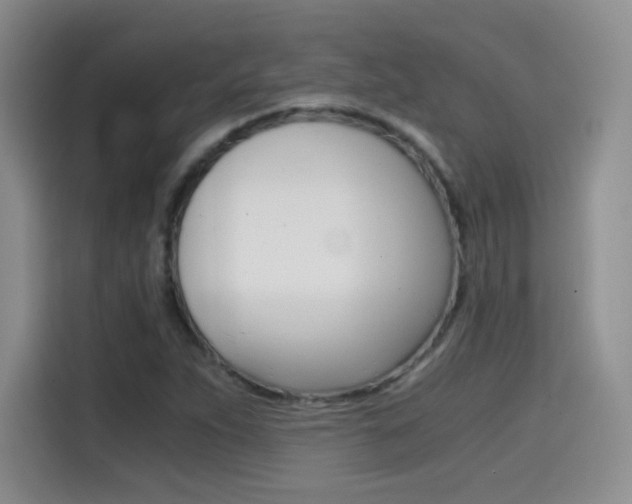 X0000114641263200910200933