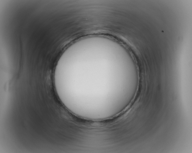 X0000114641265200910200933