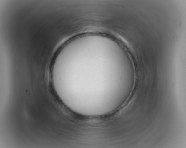 X0000114641267200910200933