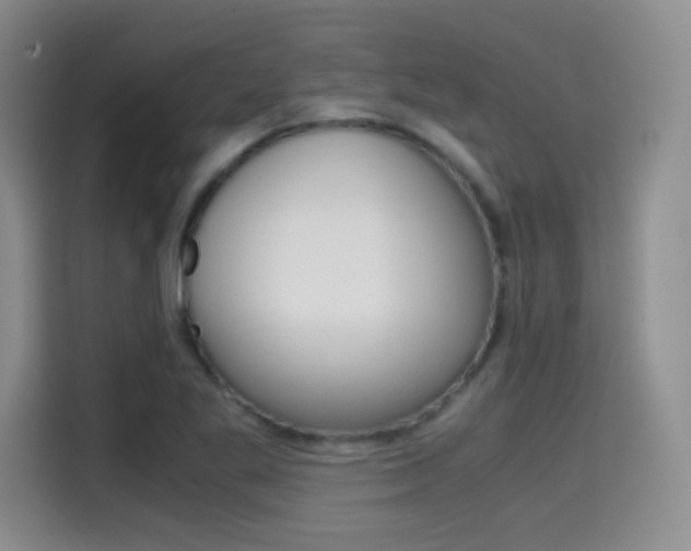 X0000114641269200910200933