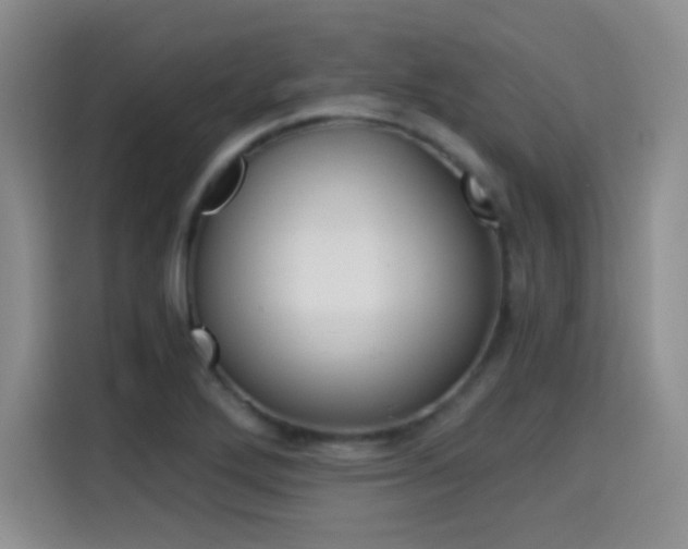 X0000114641272200910200933