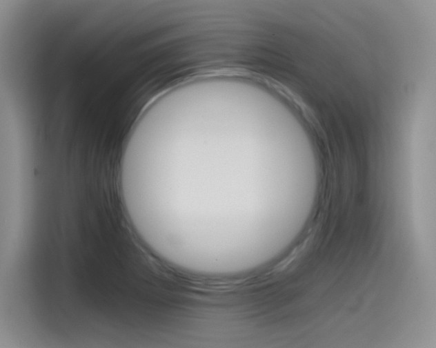 X0000114641273200910200933