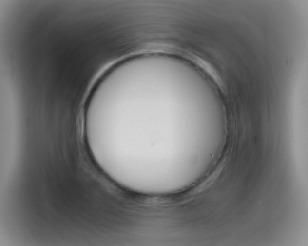 X0000114641275200910200933