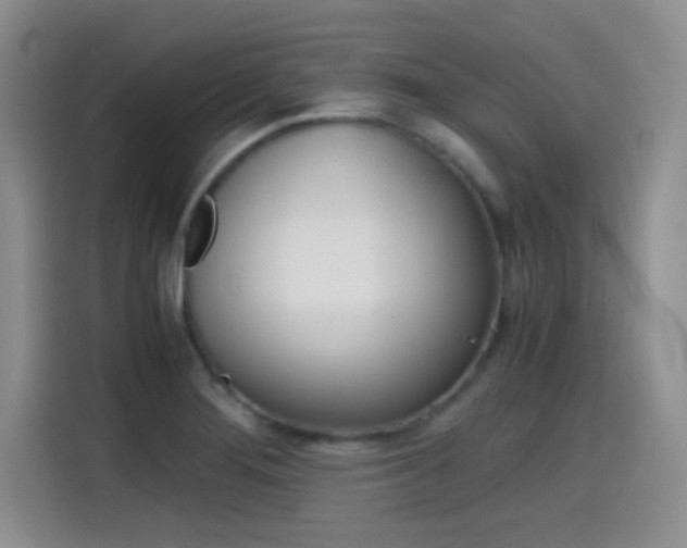 X0000114641276200910200933