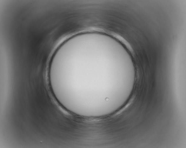 X0000114641278200910200933