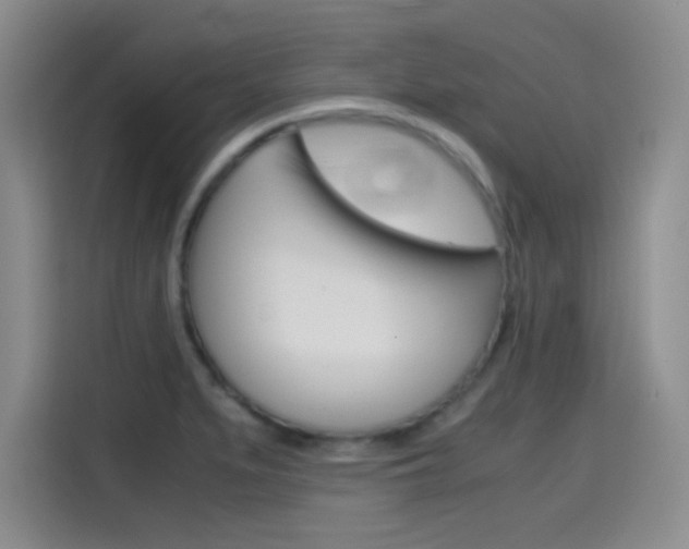 X0000114641279200910200933