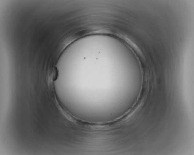 X0000114641281200910200933