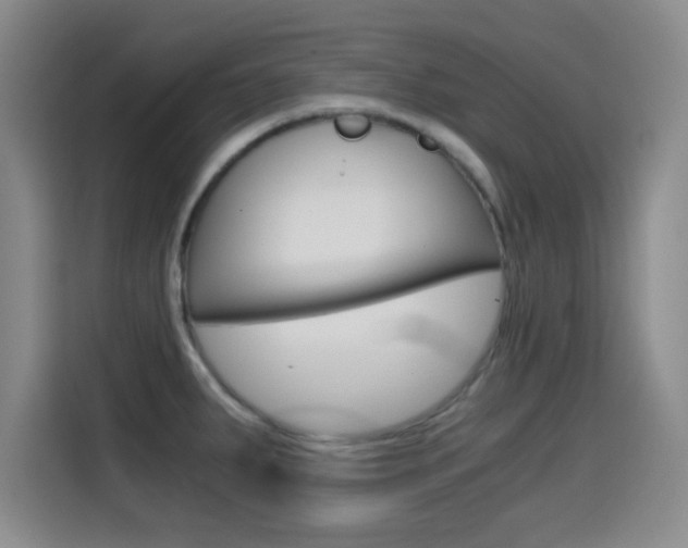 X0000114641287200910200933