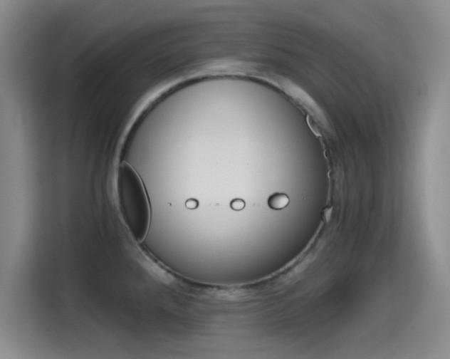 X0000114641288200910200933