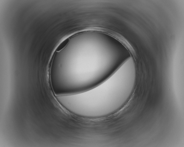 X0000114641292200910200933