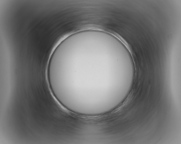 X0000114641293200910200933