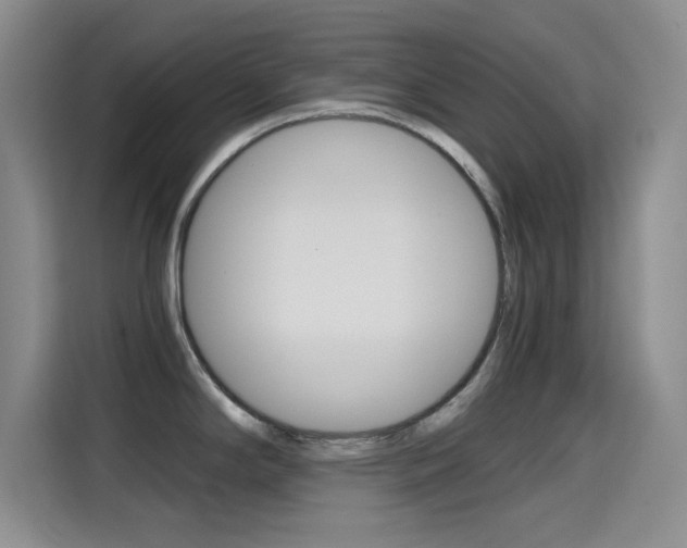 X0000114641294200910200933