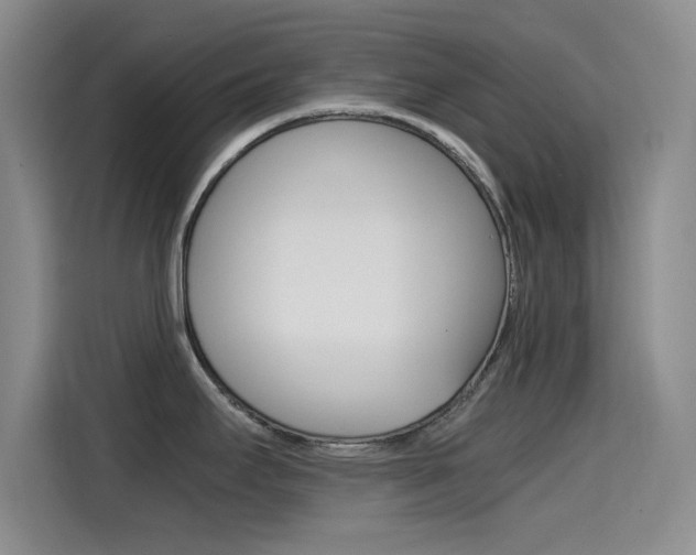 X0000114641295200910200933