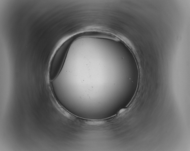 X0000114641296200910200933