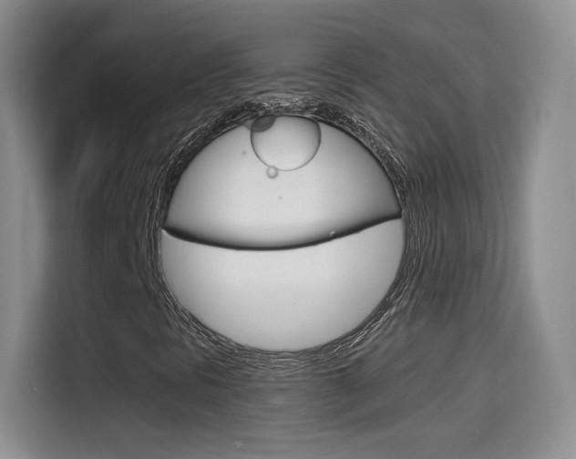 X0000114641297200910200932