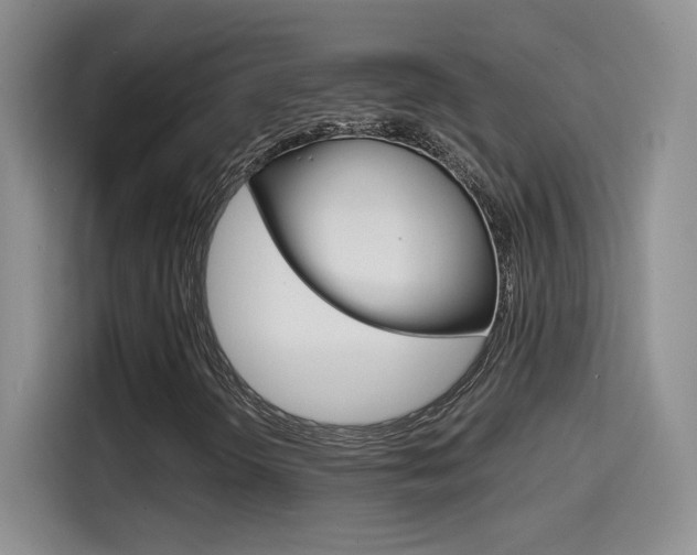 X0000114641298200910200932