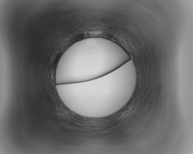 X0000114641299200910200932