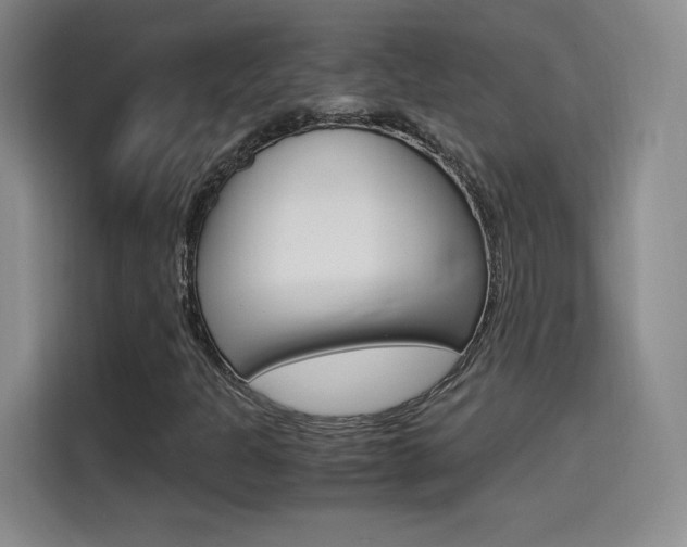 X0000114641301200910200932